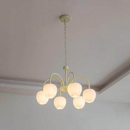 Tulip Bud Chandelier Lighting